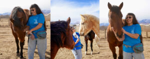 Karen with Woodrow and Murtaugh Colorado Horse Rescue