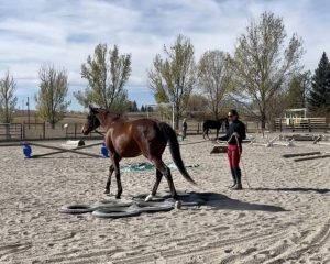 Obstacle Clinic