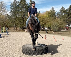 Obstacle Clinic